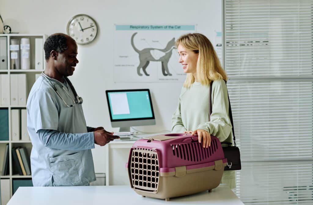 Para viajar con una mascota es importante visitar al veterinario con anticipación