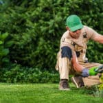 Trabajo en paisajismo USA