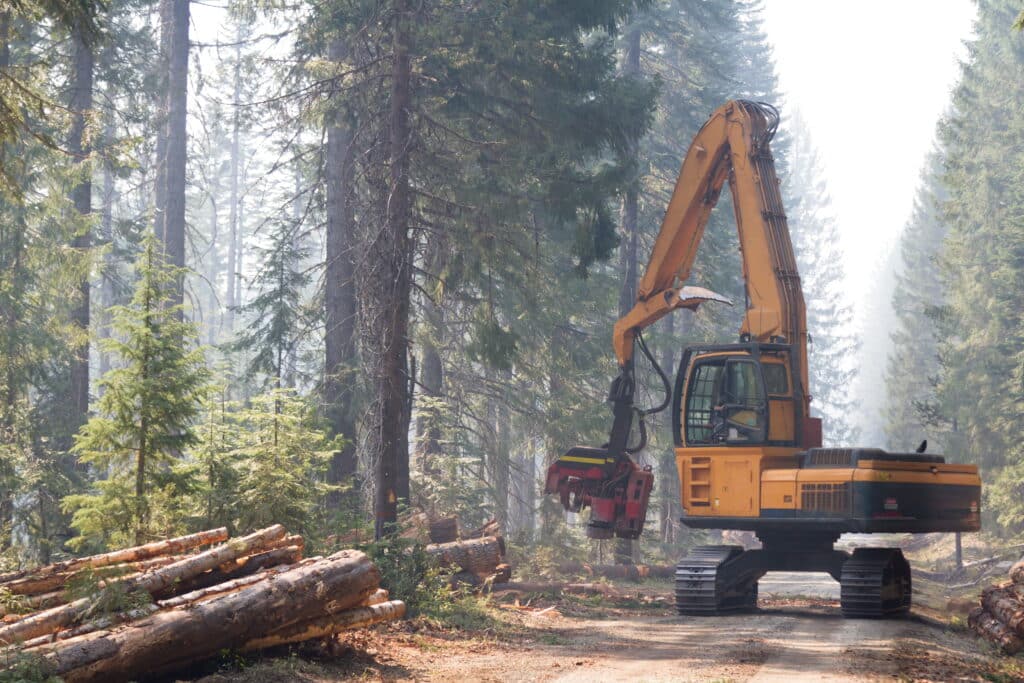 Trabajo forestal en Estados Unidos