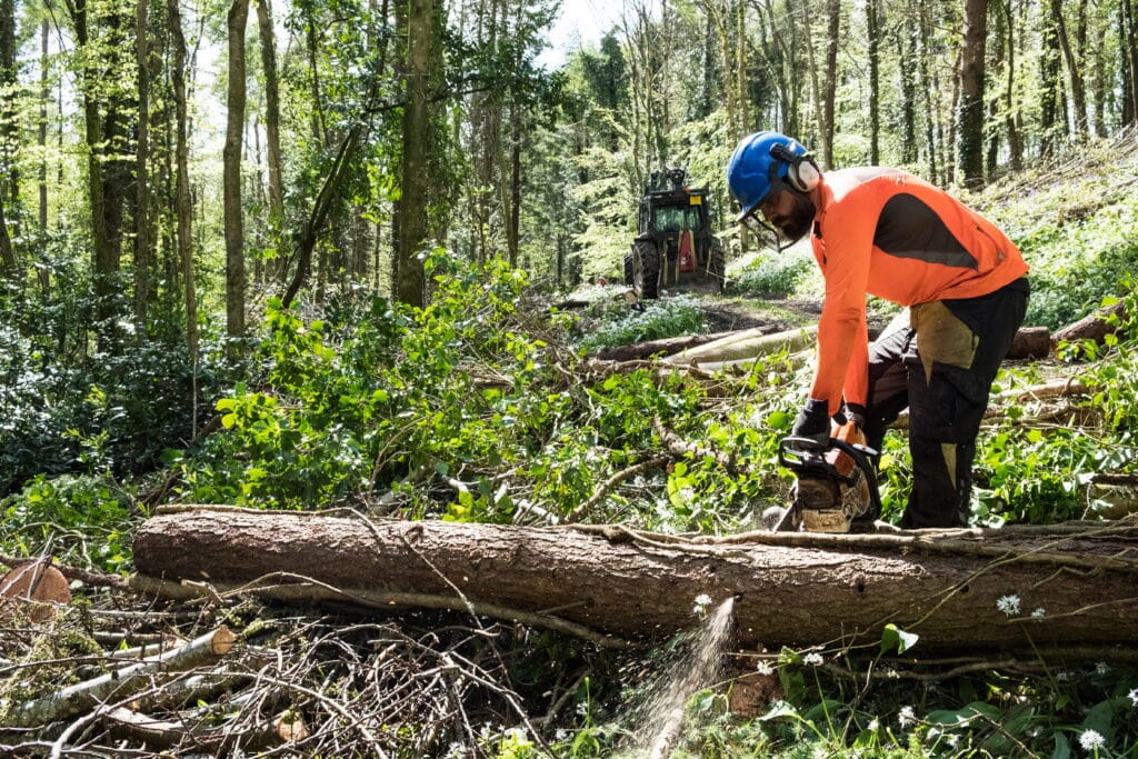 Trabajo en bosques en EEUU